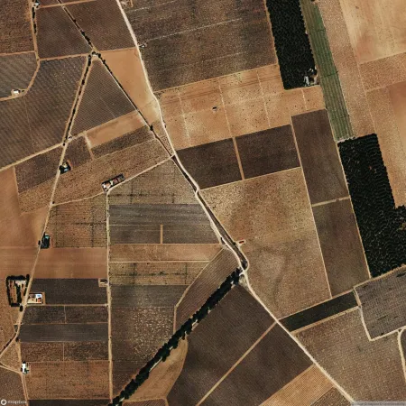 Foto del inmueble Suelo en ARGAMASILLA DE ALBA, CIUDAD REAL