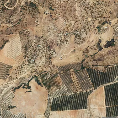 Foto del inmueble Suelo en ALCOLEA DEL RIO, SEVILLA