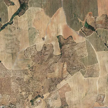 Foto del inmueble Suelo en ALCOLEA DEL RIO, SEVILLA