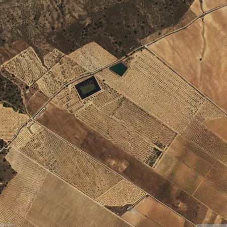 Foto del inmueble Suelo de 9566m2 en YECLA, MURCIA