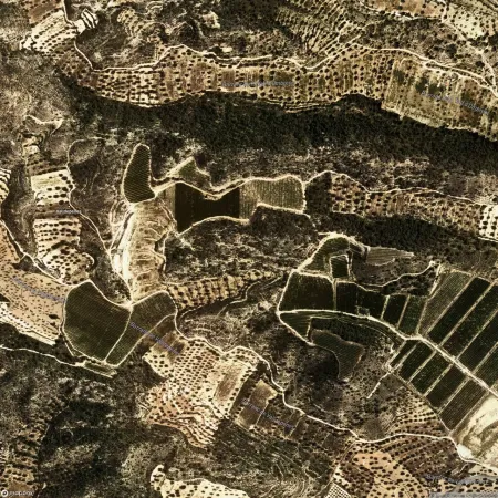 Foto del inmueble Suelo en RIBA-ROJA D'EBRE, TARRAGONA