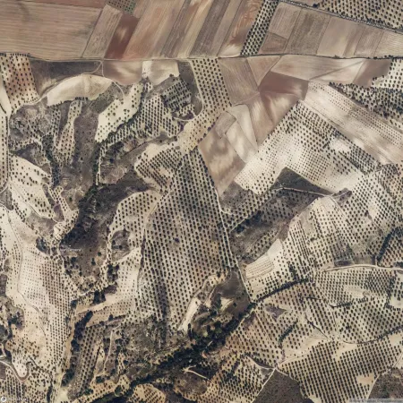 Foto del inmueble Suelo en MESEGAR DE TAJO, TOLEDO