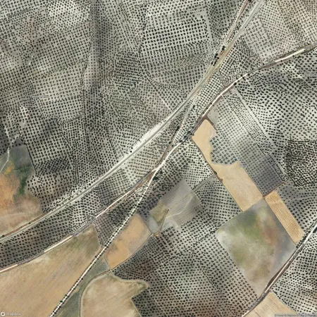 Foto del inmueble Suelo en ARAHAL, SEVILLA