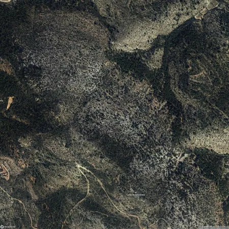 Foto del inmueble Suelo en SANTA CRUZ DE MOYA, CUENCA