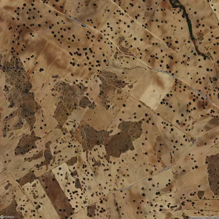 Foto del inmueble Suelo en MONTERRUBIO DE LA SERENA, BADAJOZ