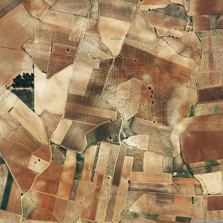 Foto del inmueble Suelo en MADRIGUERAS, ALBACETE