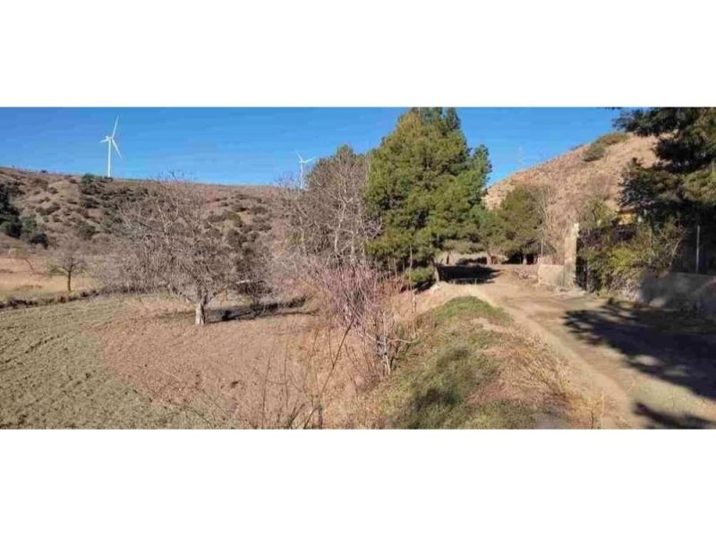 Foto del inmueble Finca rústica residencial con explotación ganadera en Vélez-Rubio (Almería)