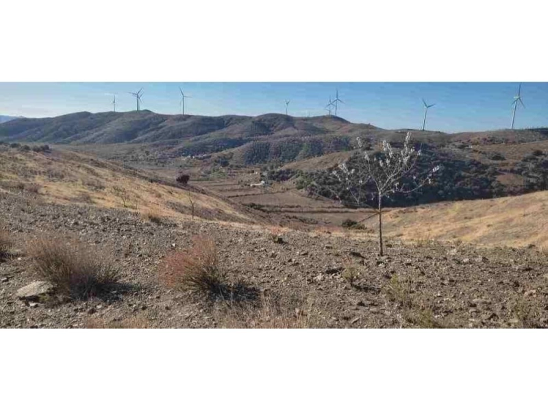 Foto del inmueble Finca rústica residencial con explotación ganadera en Vélez-Rubio (Almería)