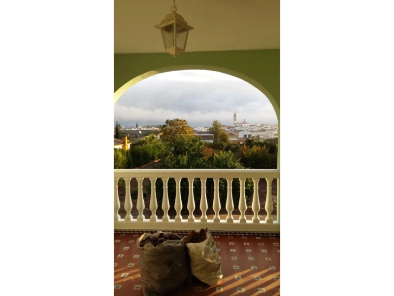 Foto del inmueble Chalet en venta en Rociana del Condado (Huelva)