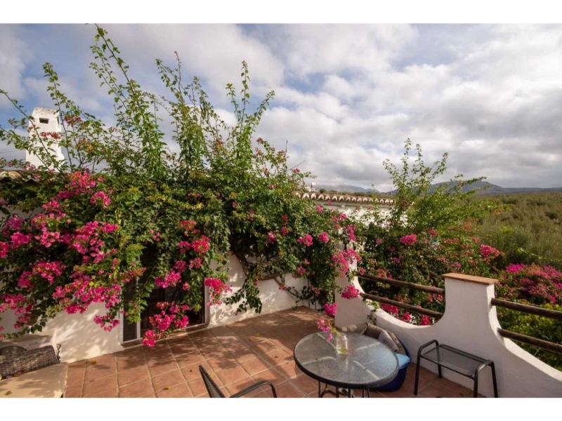 Foto del inmueble Chalet en venta en Periana (Málaga)