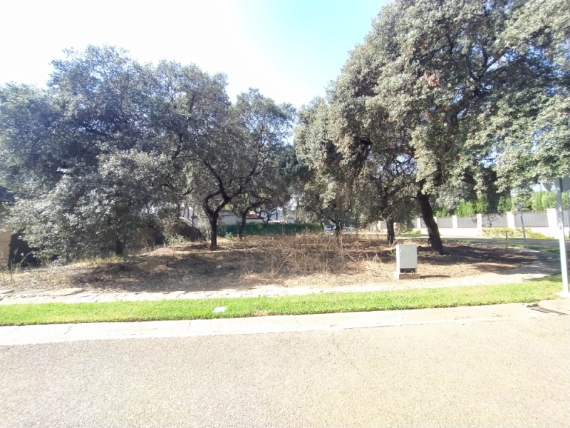 Foto del inmueble Suelo en BOLLULLOS DE LA MITACION, SEVILLA