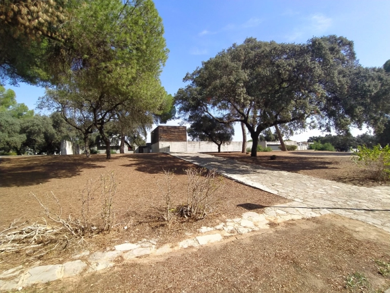 Foto del inmueble Suelo en BOLLULLOS DE LA MITACION, SEVILLA