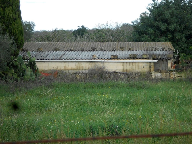 Foto del inmueble Suelo en SANTA MARGALIDA, ILLES BALEARS